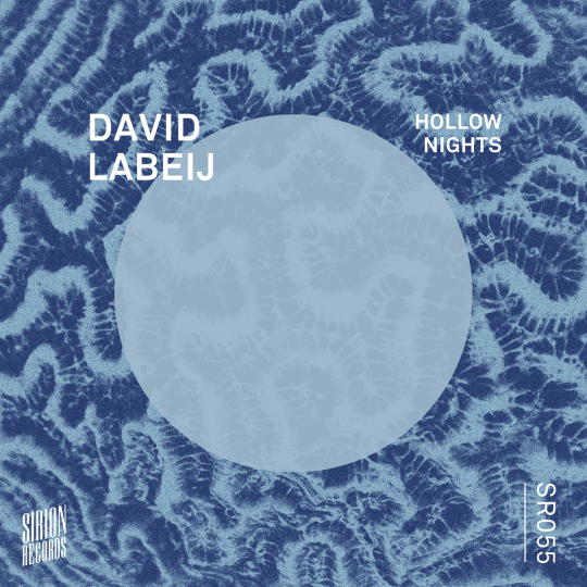 David Labeij - Hollow Nights